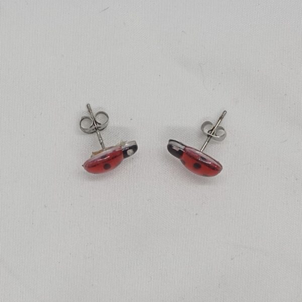Pendientes Mariquita – 7 Colores con Cierre de Acero - Imagen 2